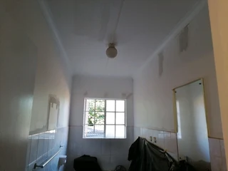 PROFESSIONAL PAINTERS