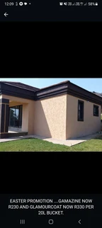 PROFESSIONAL PAINTERS