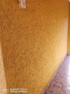 PROFESSIONAL PAINTERS