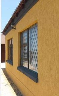 PROFESSIONAL PAINTERS