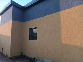 Professional Painters