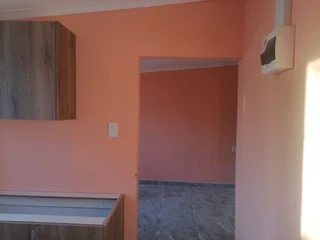 PROFESSIONAL PAINTERS