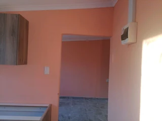 PROFESSIONAL PAINTERS