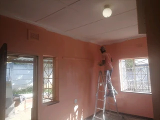 PROFESSIONAL PAINTERS