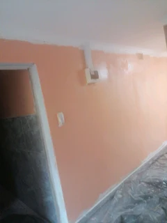 Professional Painters