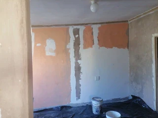 PROFESSIONAL PAINTERS