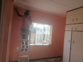 PROFESSIONAL PAINTERS