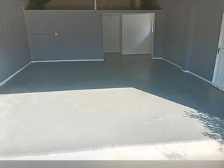 PROFESSIONAL PAINTERS