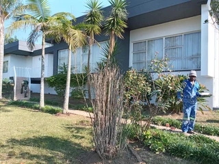 PROFESSIONAL PAINTERS