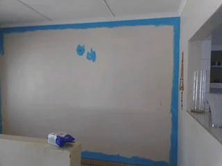 PROFESSIONAL PAINTERS