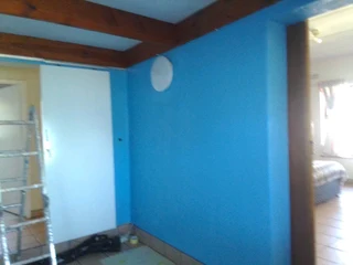 PROFESSIONAL PAINTERS