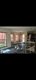 Professional Painters