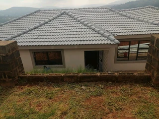 PROFESSIONAL PAINTERS