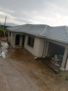 PROFESSIONAL PAINTERS