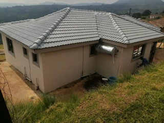 PROFESSIONAL PAINTERS