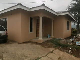 PROFESSIONAL PAINTERS