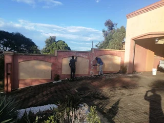 Professional Painters