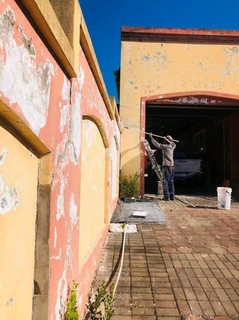 Professional Painters