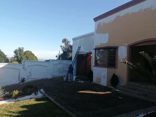 PROFESSIONAL PAINTERS