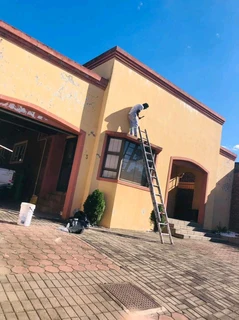 PROFESSIONAL PAINTERS