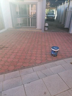 PROFESSIONAL PAINTERS