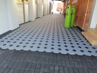 PROFESSIONAL PAINTERS