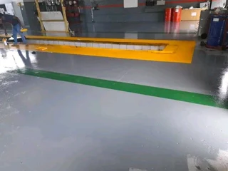 PROFESSIONAL PAINTERS