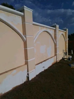 PROFESSIONAL PAINTERS