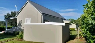 PROFESSIONAL PAINTERS