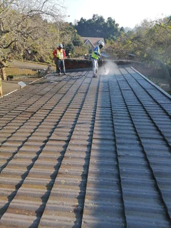 PROFESSIONAL PAINTERS