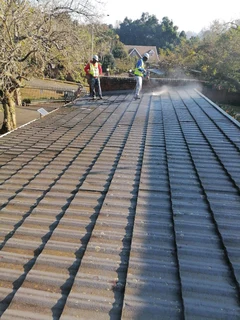 PROFESSIONAL PAINTERS