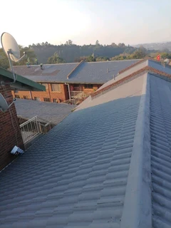 PROFESSIONAL PAINTERS