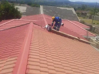 Professional Painters