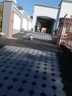 PROFESSIONAL PAINTERS