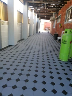 PROFESSIONAL PAINTERS