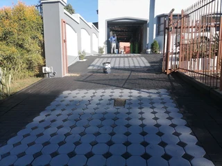 PROFESSIONAL PAINTERS