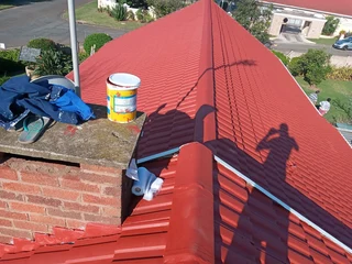 PROFESSIONAL PAINTERS