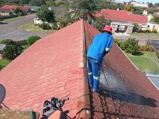 PROFESSIONAL PAINTERS