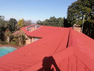 Professional Painters