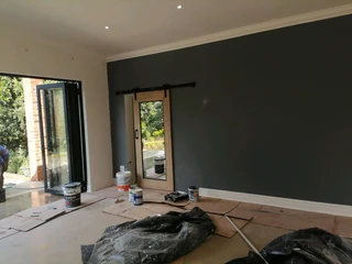 PROFESSIONAL PAINTERS