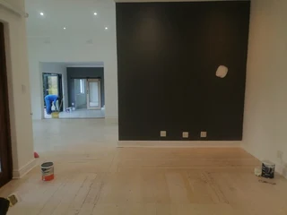 PROFESSIONAL PAINTERS