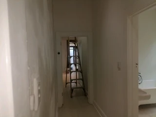 PROFESSIONAL PAINTERS