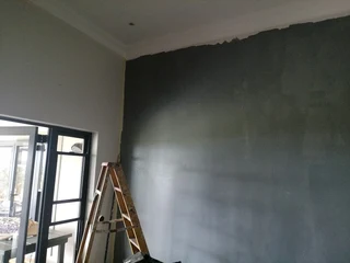 PROFESSIONAL PAINTERS