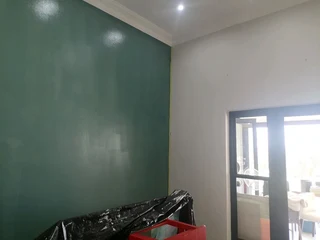 PROFESSIONAL PAINTERS