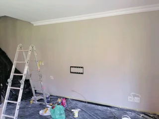 PROFESSIONAL PAINTERS
