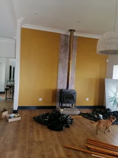 PROFESSIONAL PAINTERS