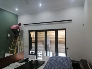 PROFESSIONAL PAINTERS