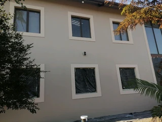 PROFESSIONAL PAINTERS