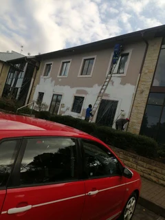 PROFESSIONAL PAINTERS