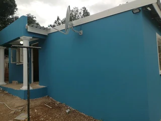 PROFESSIONAL PAINTERS